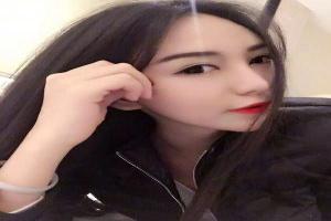 综影视梦中的世界之旅